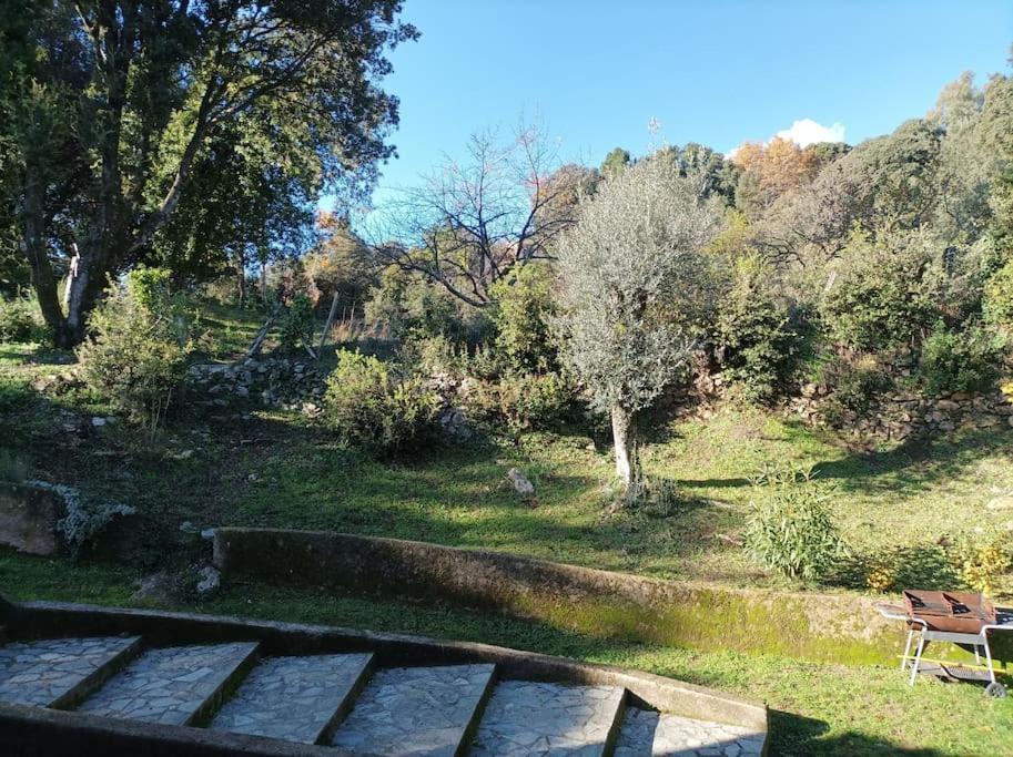 Avec Vue Sur La Montagne Appartement