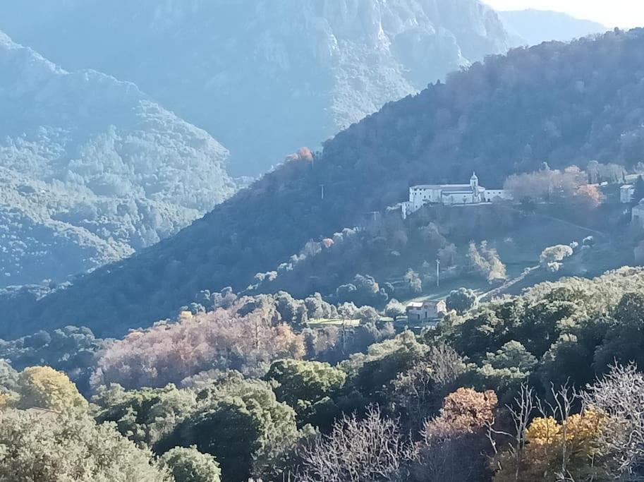 Avec Vue Sur La Montagne Apartment Vico